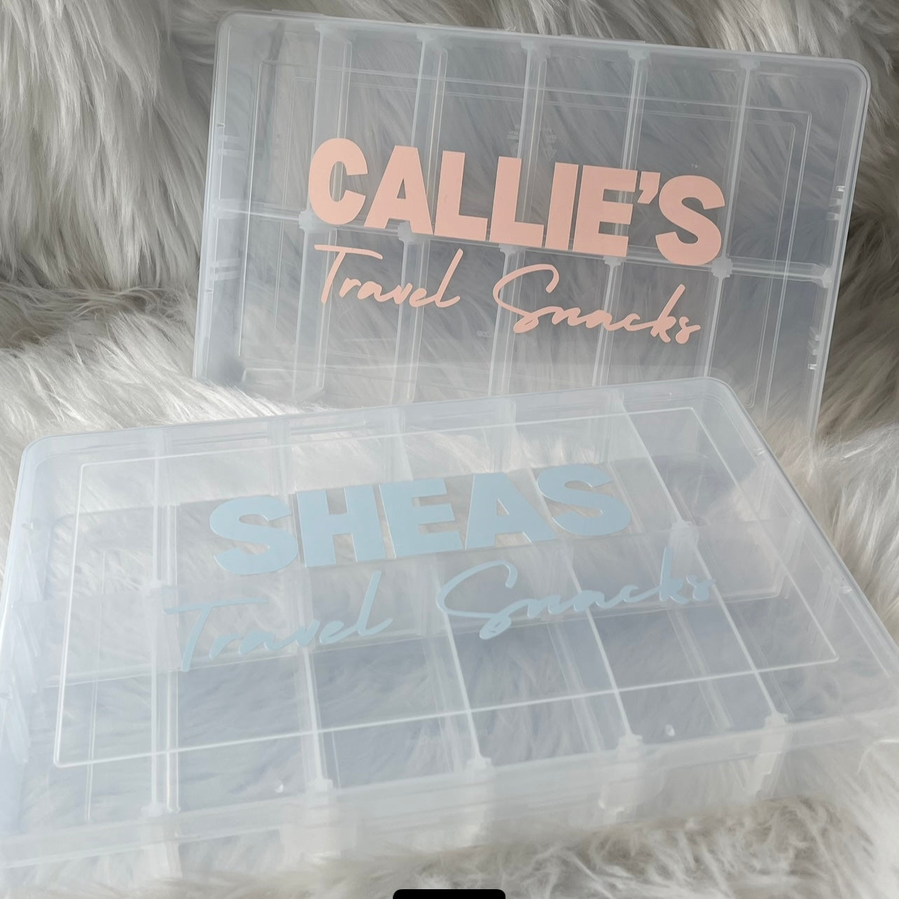 Travel Snacks container