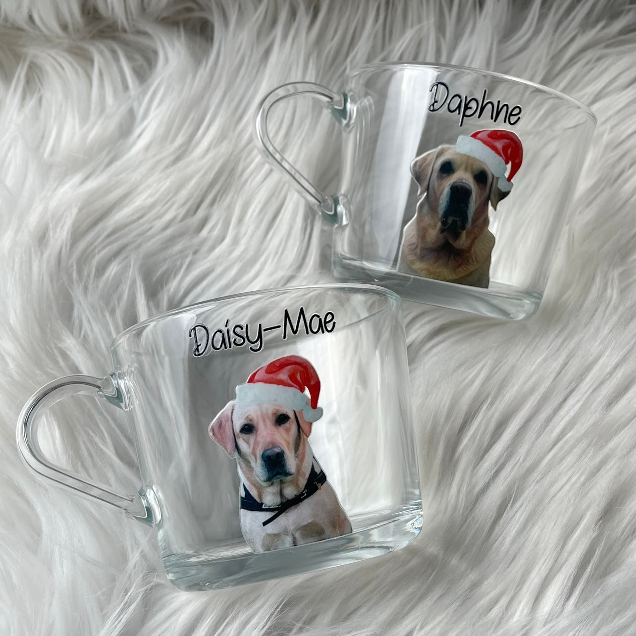 Christmas dog Mug (your own photo )