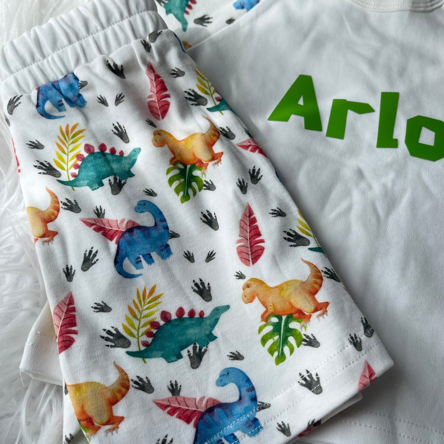 Dinosaur short set 9-12 months