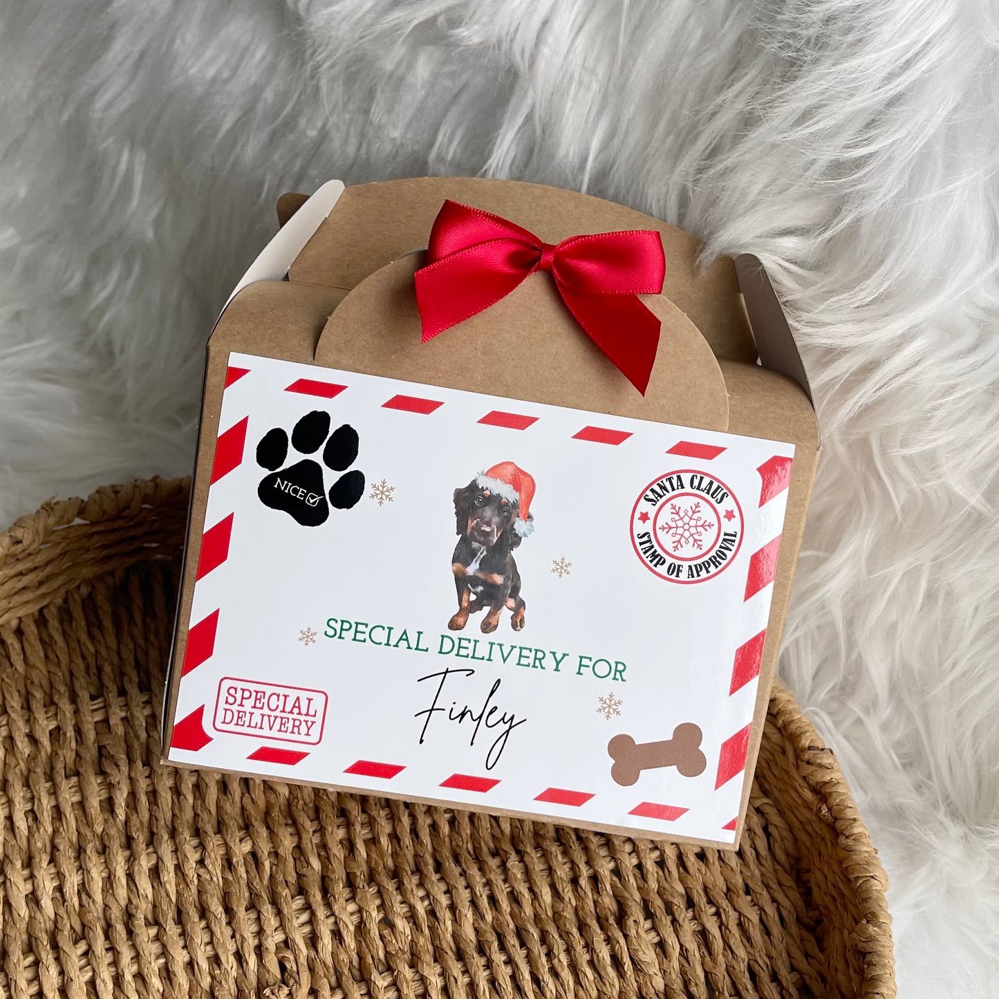Pet treat box - Special delivery (featuring a photo of your dog)