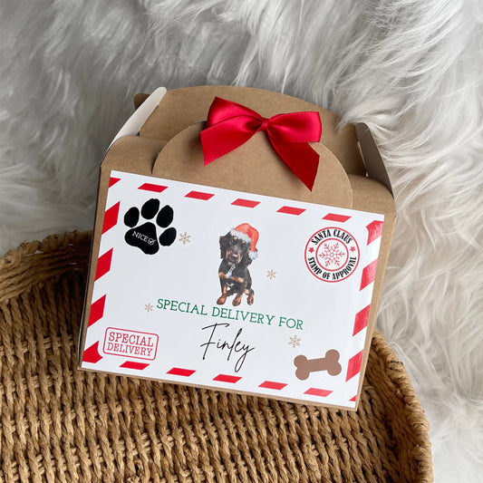 Pet treat box - Special delivery (featuring a photo of your dog)